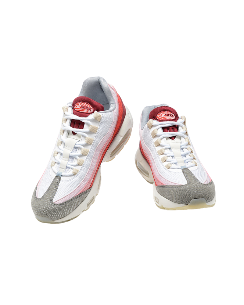 Air Max 95 “Anatomy Of Air“