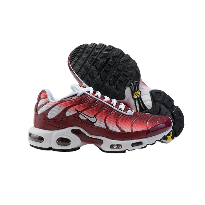 Air Max Plus TN1 “Fallen Angel“