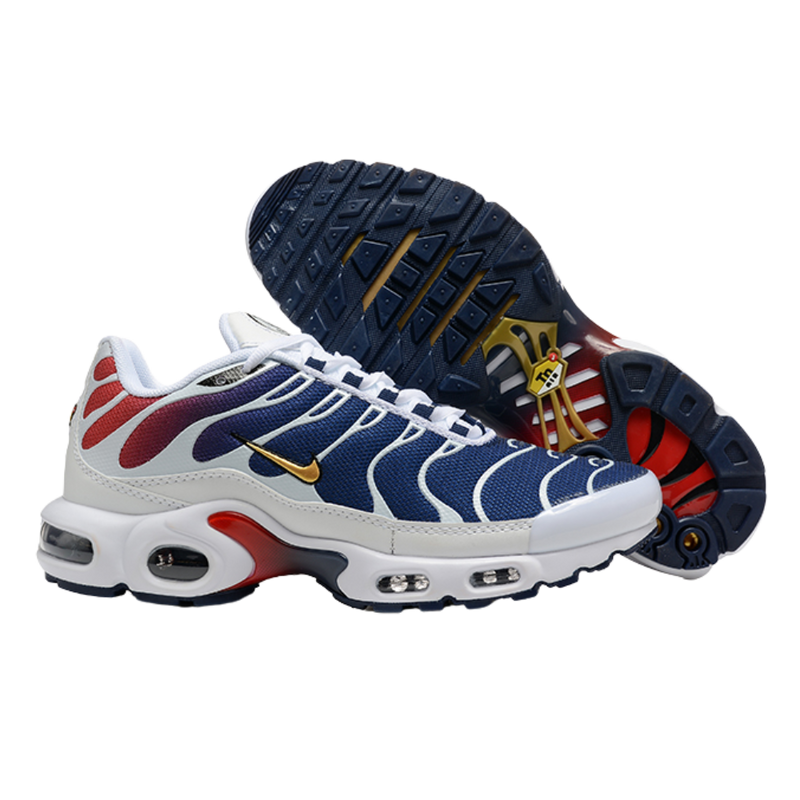 PSG × Nike Air Max TN1