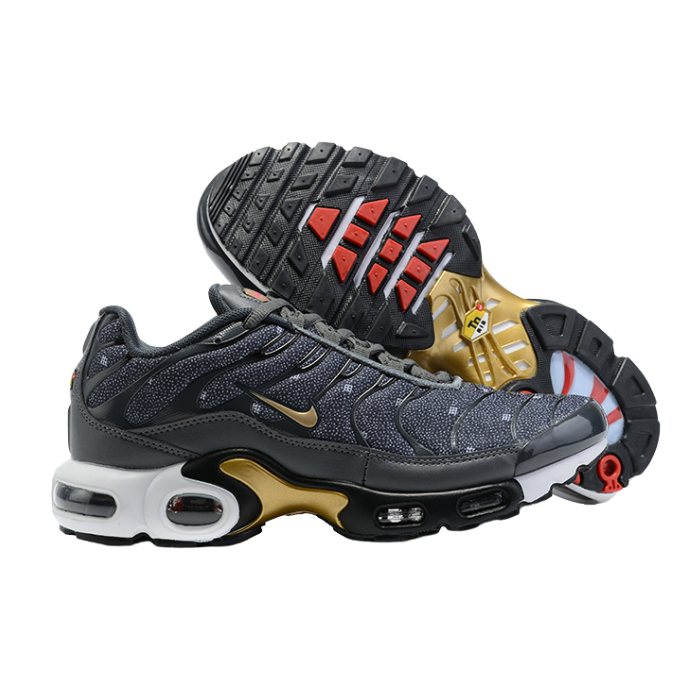 Air Max Plus TN1 “Iron Grey Metallic Gold“