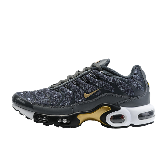 Air Max Plus TN1 “Iron Grey Metallic Gold“