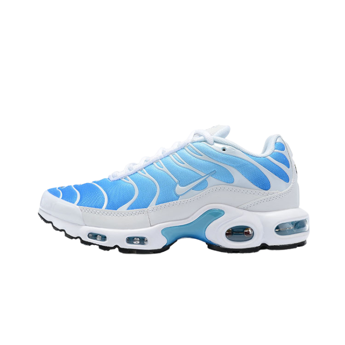 Air Max Plus TN1 “Battle Blue“