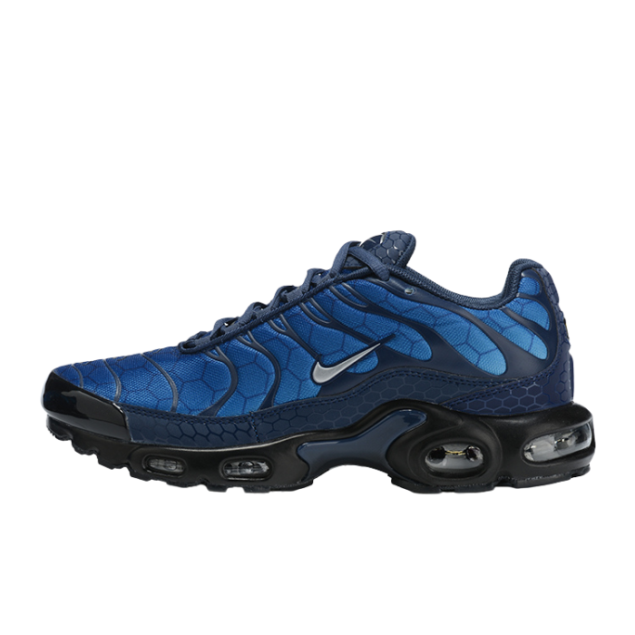 Air Max Plus TN1 “Blue Gaze“