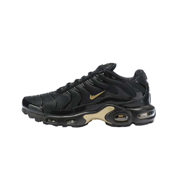 Air Max Plus TN1 “Black Metallic Gold“