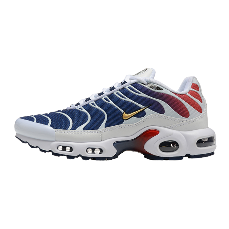 PSG × Nike Air Max TN1