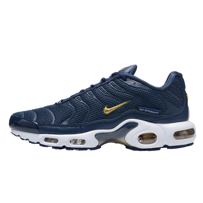 Air Max Plus TN1 “French Football Federation“