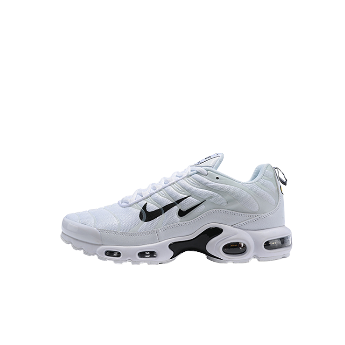 Air Max Plus TN1 “Double Swoosh“