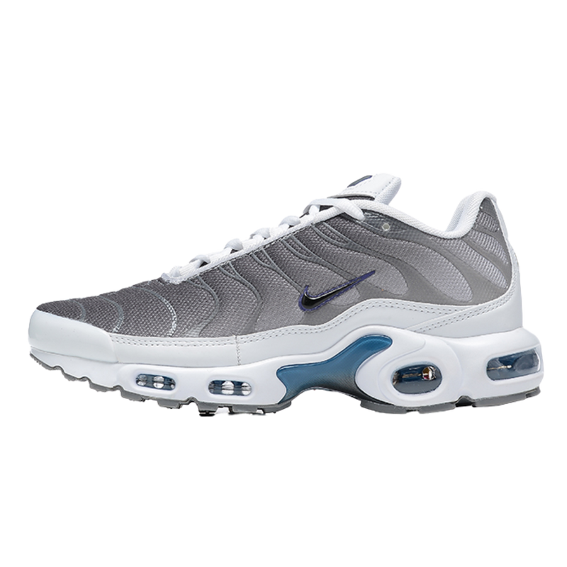 Air Max Plus TN1 “Cinza e Azul“