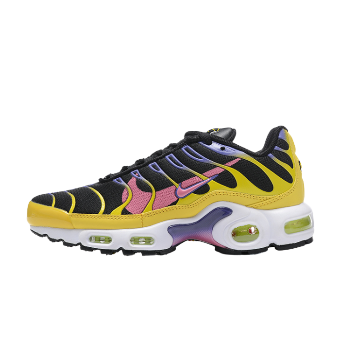 Air Max Plus TN1 “Pilgrim“