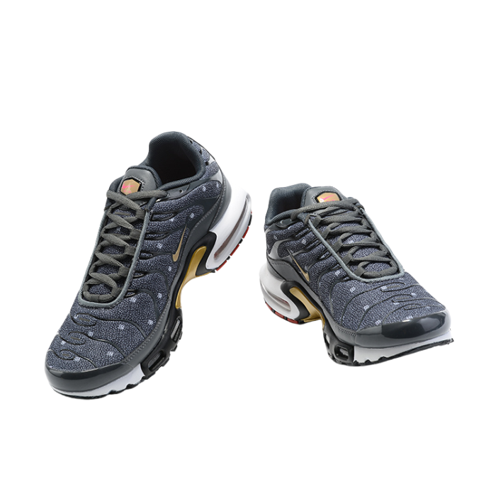 Air Max Plus TN1 “Iron Grey Metallic Gold“