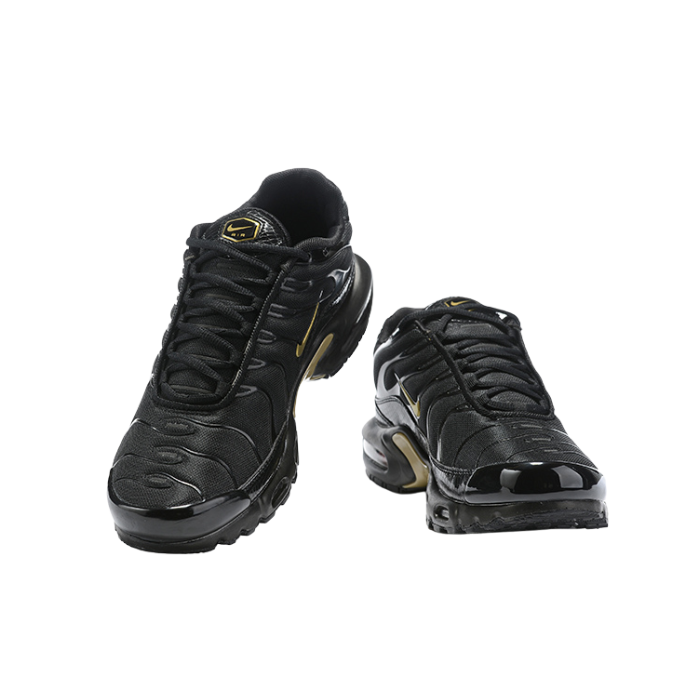 Air Max Plus TN1 “Black Metallic Gold“