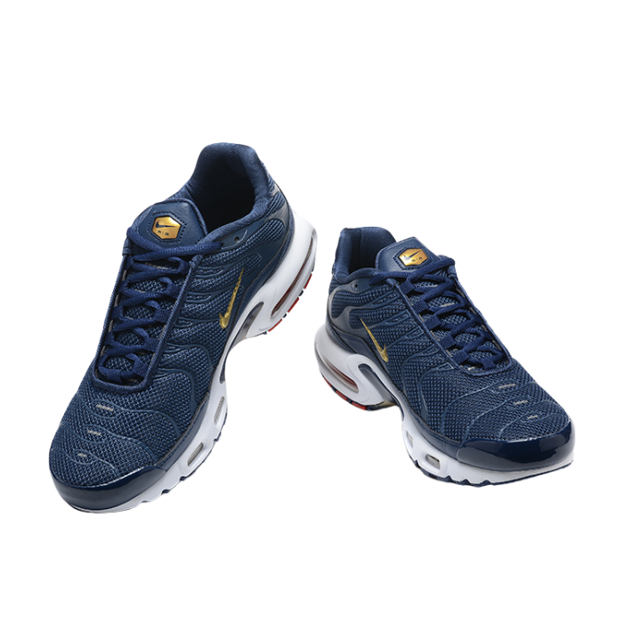 Air Max Plus TN1 “French Football Federation“