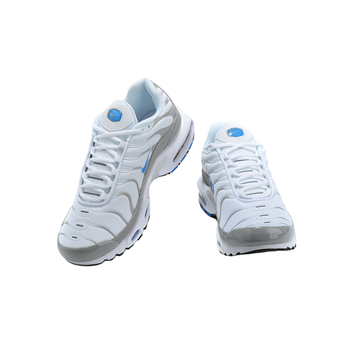 Air Max Plus TN1 “Ice Metalic“