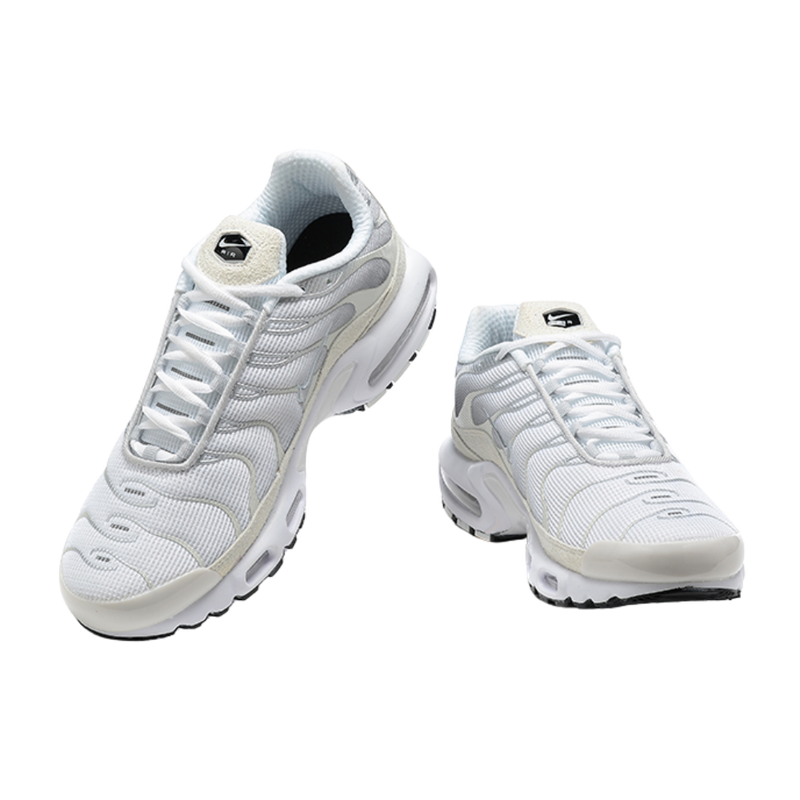 Air Max Plus TN1 “Platinum Silver“