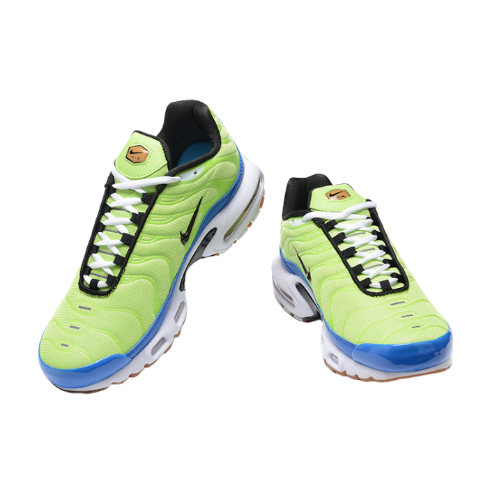 Air Max Plus TN1 “M. Frank Rudy Green“