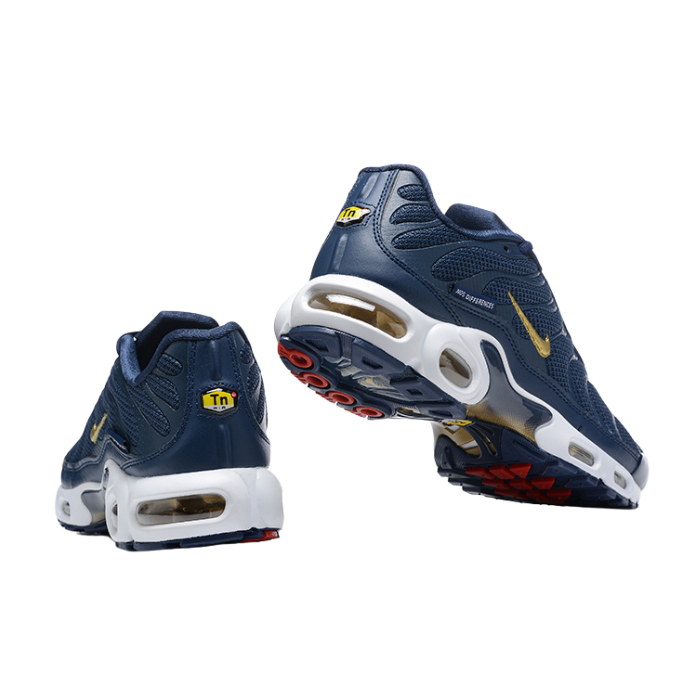 Air Max Plus TN1 “French Football Federation“