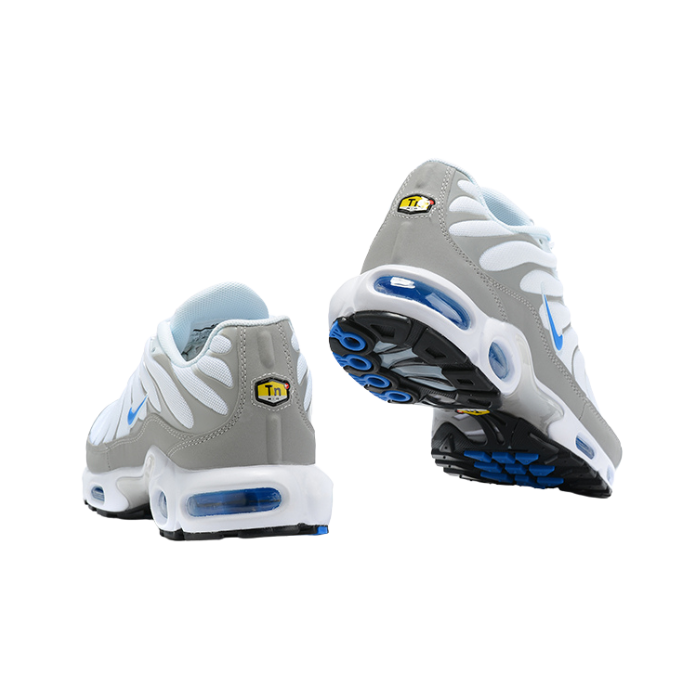 Air Max Plus TN1 “Ice Metalic“