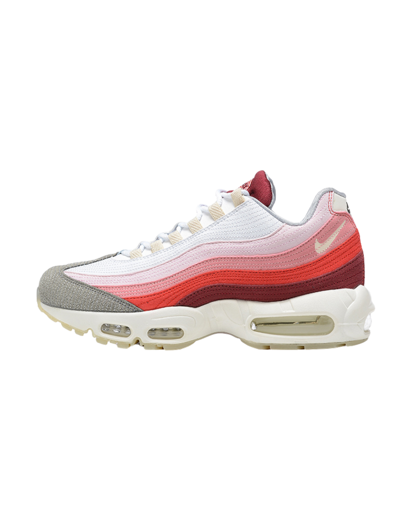 Air Max 95 “Anatomy Of Air“