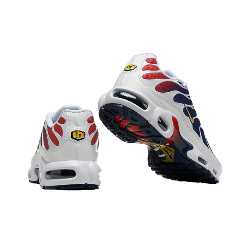 PSG × Nike Air Max TN1