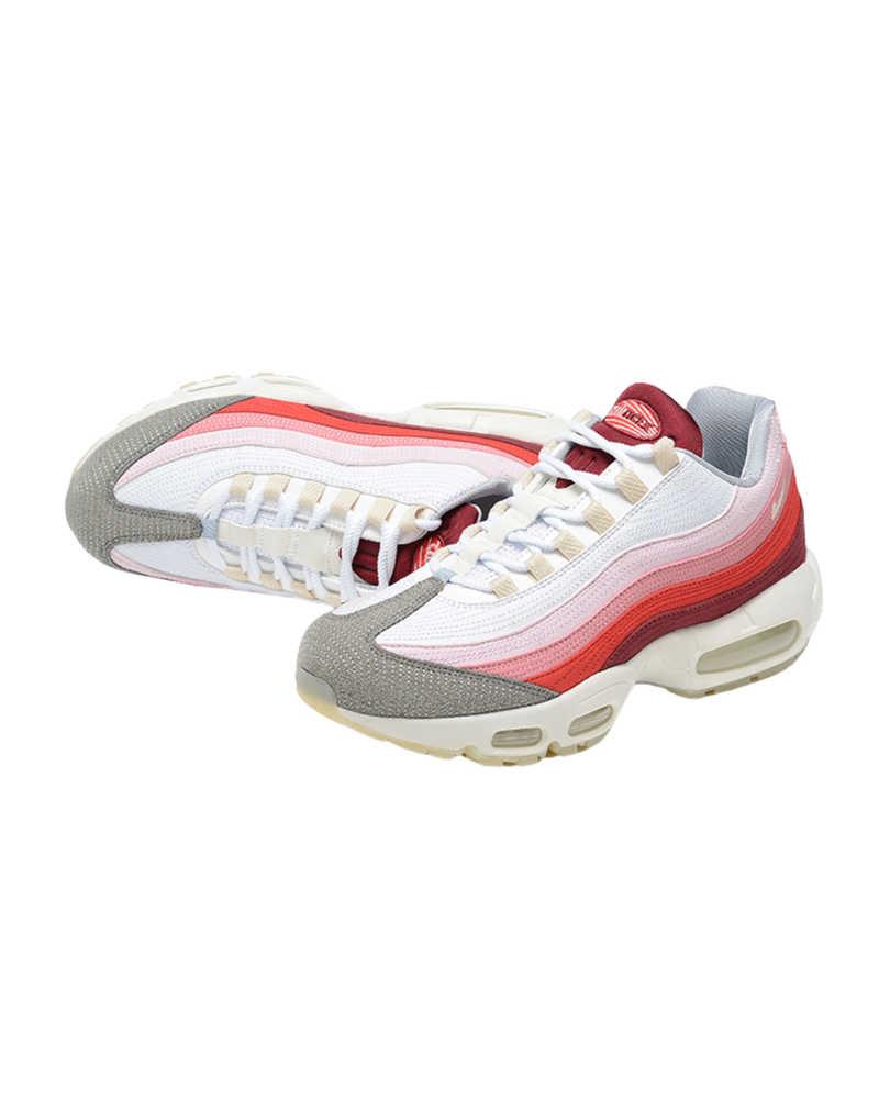 Air Max 95 “Anatomy Of Air“